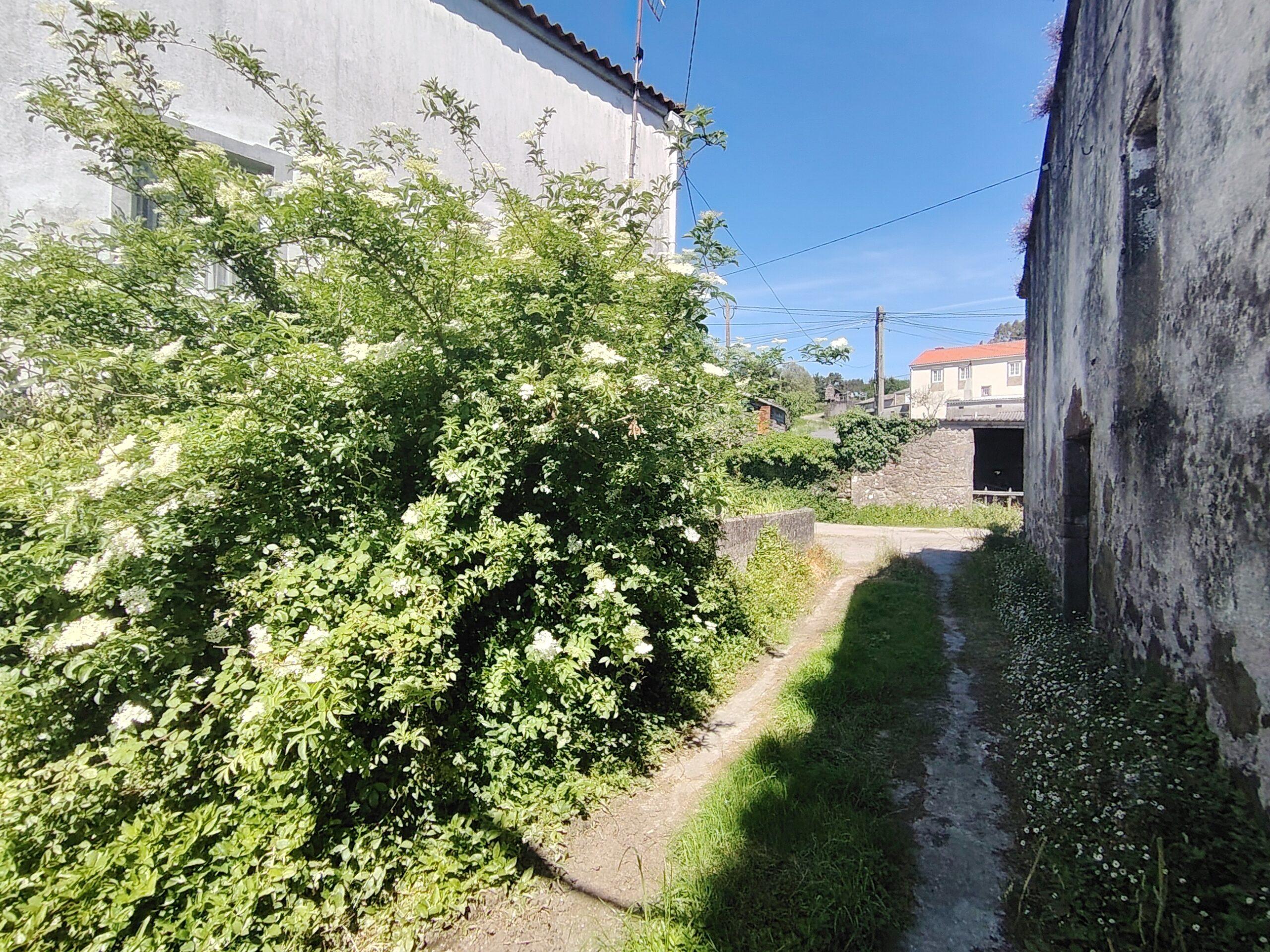 Img 20250523 170243