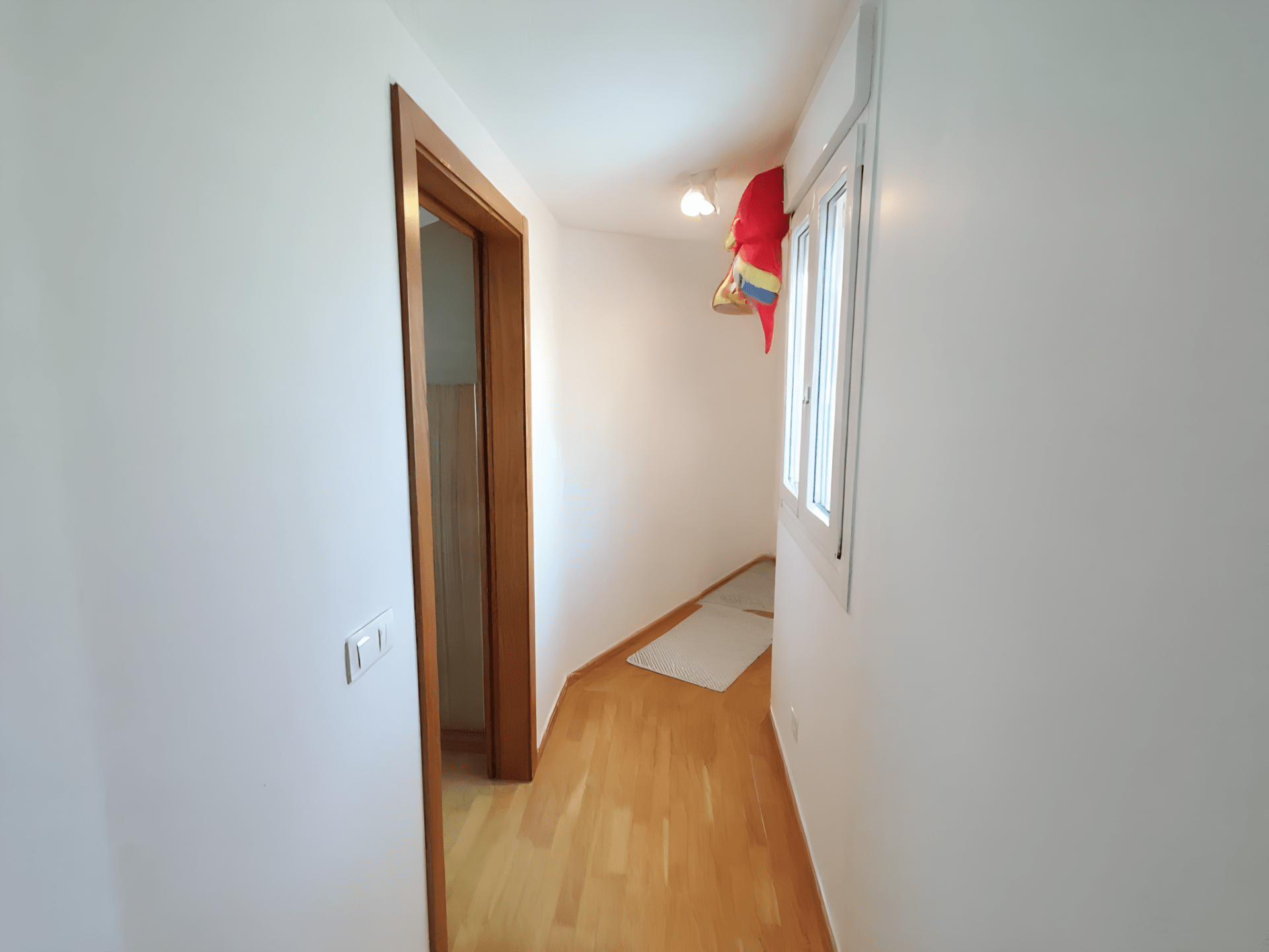 IMG 20251213 120811 Pedra