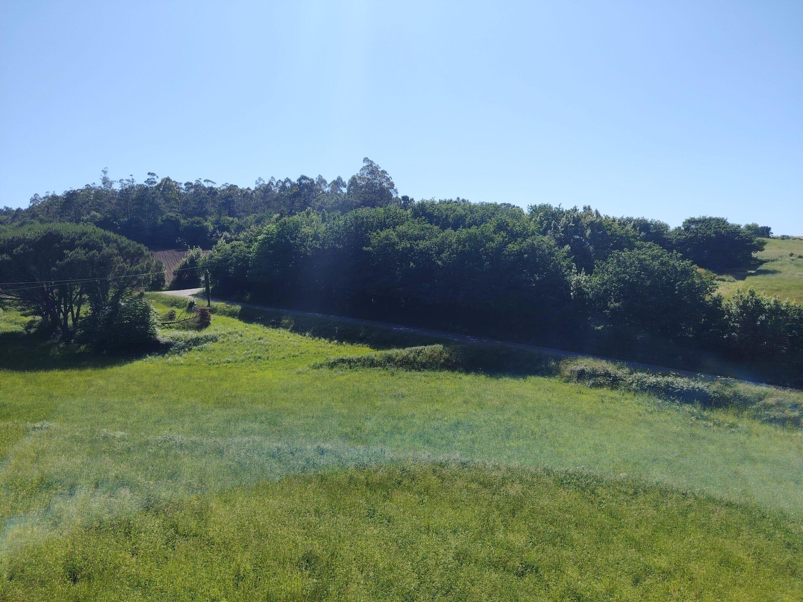 IMG 20260526