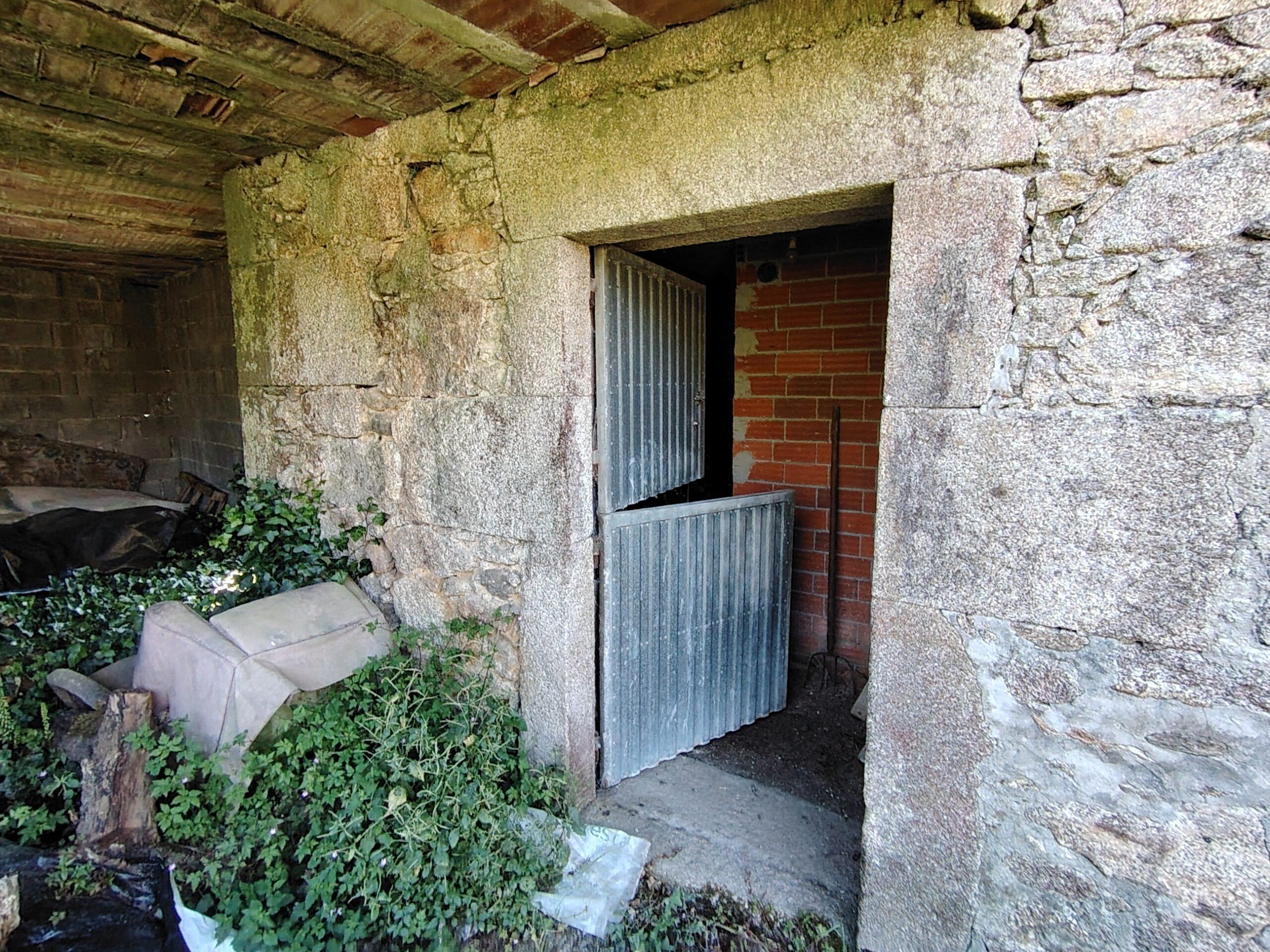 IMG 20260526