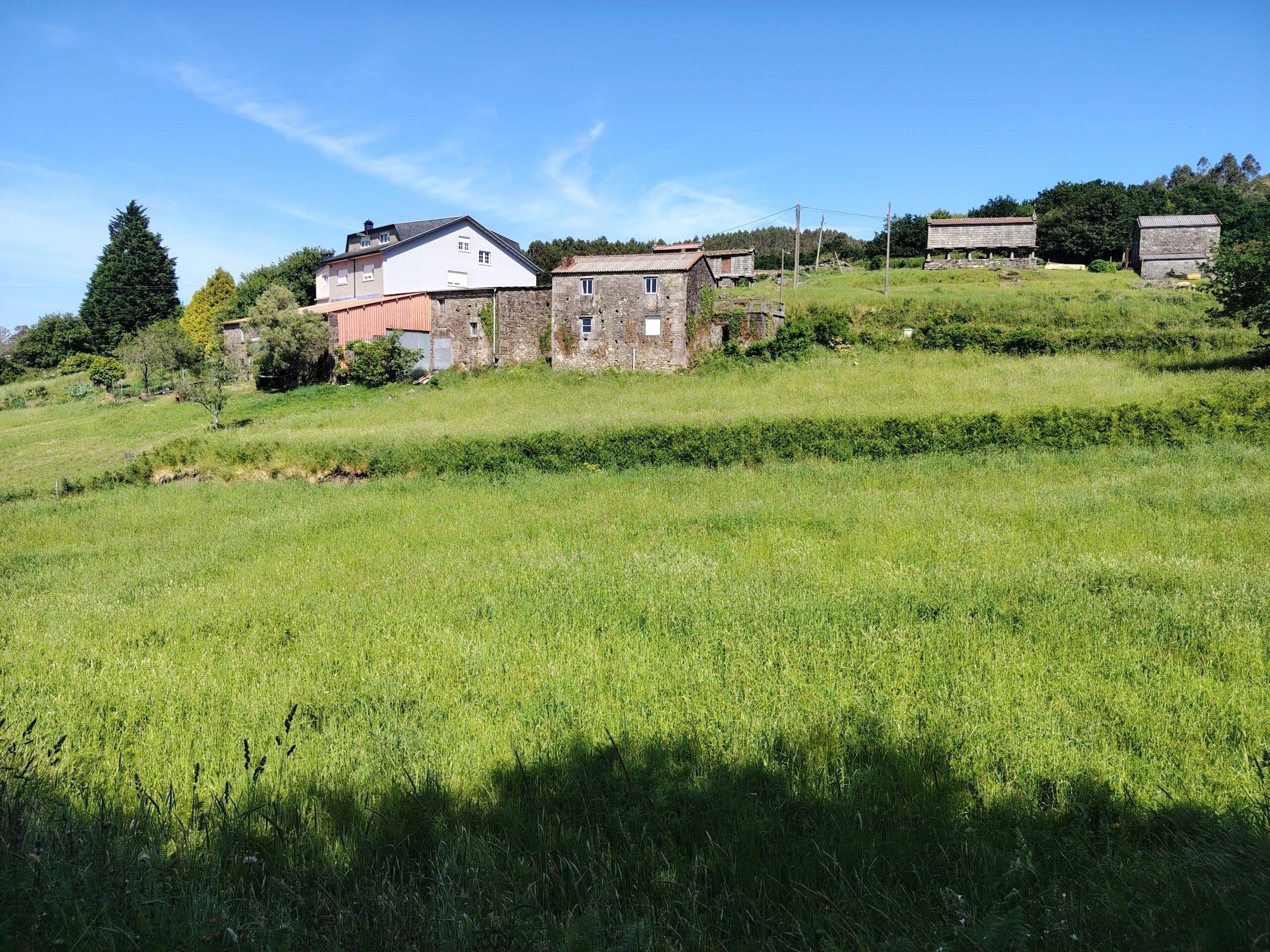 IMG 20260526