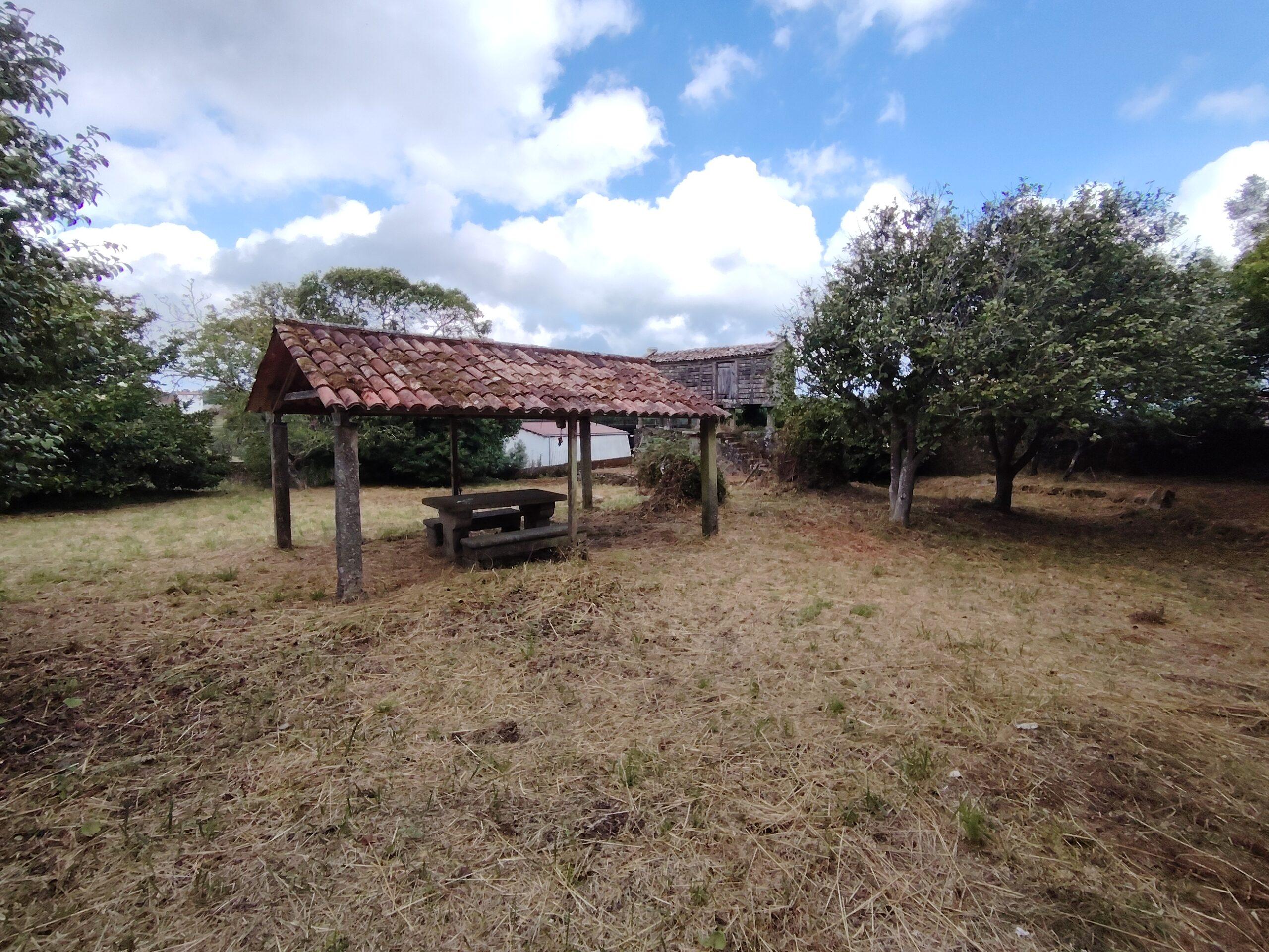 IMG 20260718