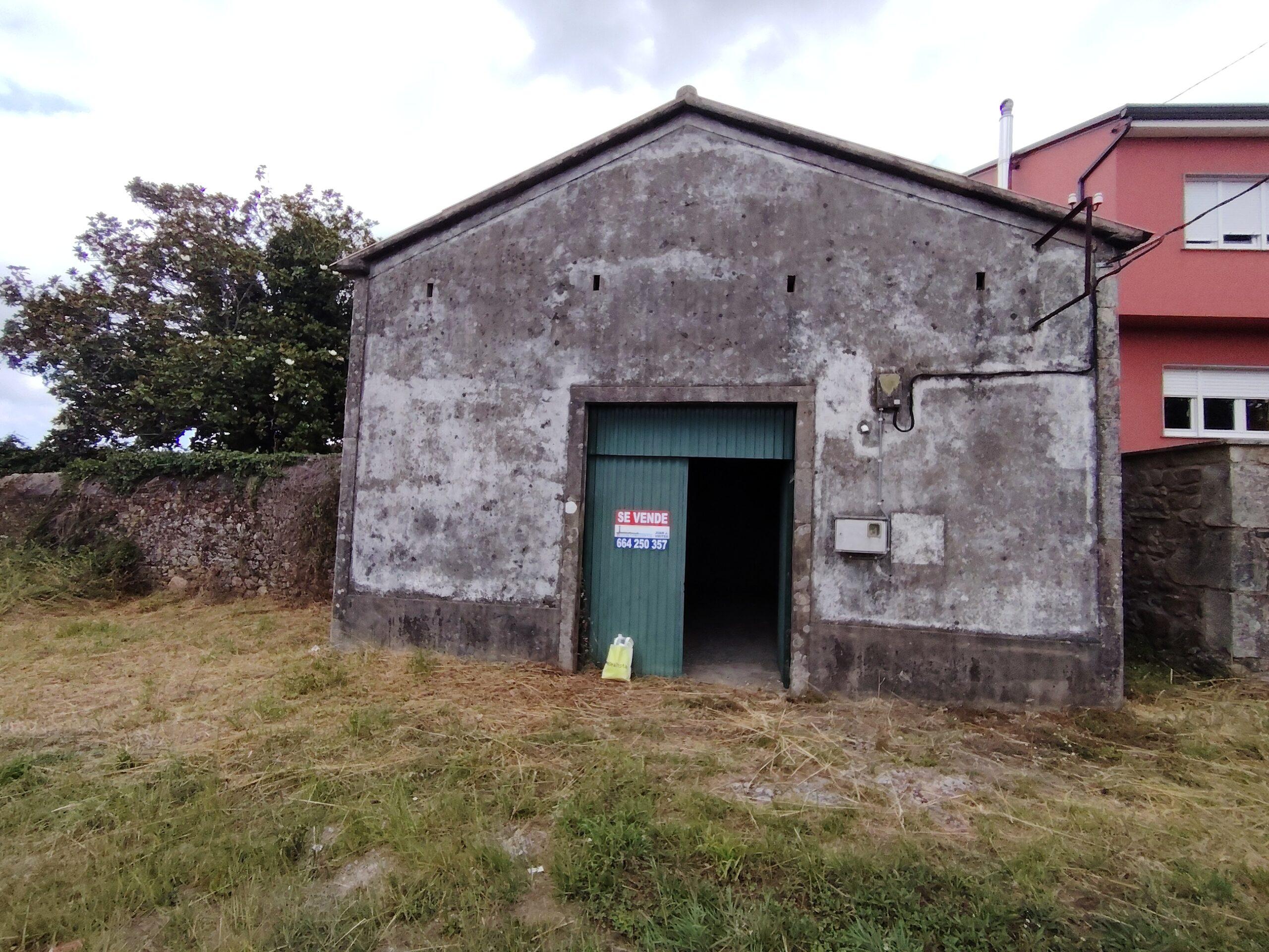 IMG 20260718