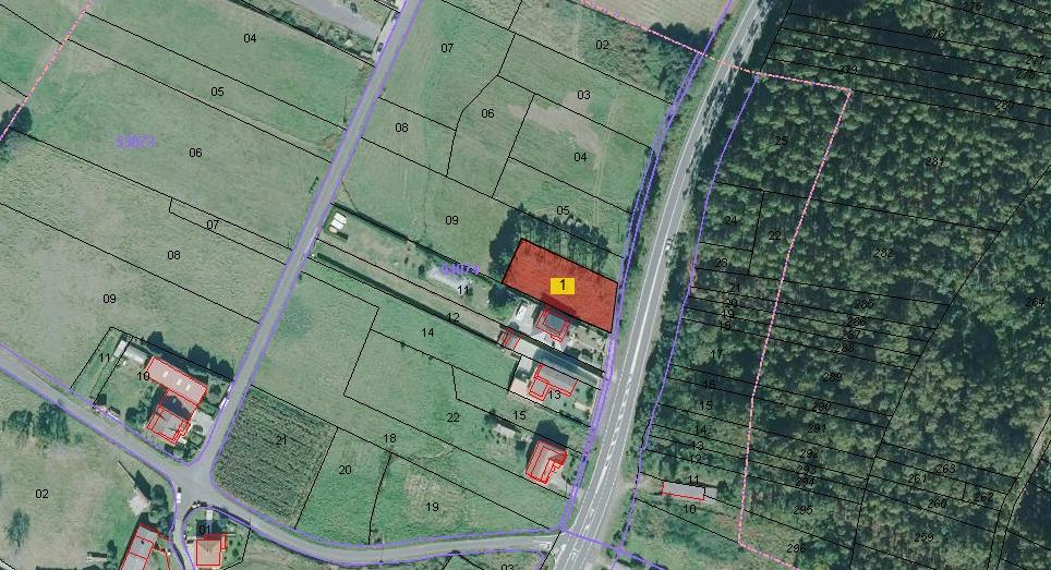 WhatsApp Image 2026 02 04 at 18.10.58