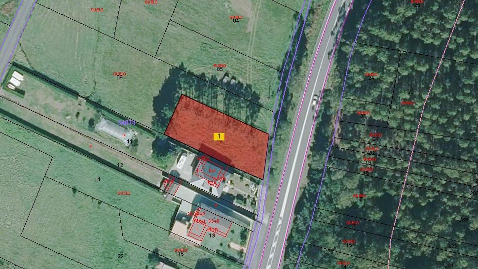 WhatsApp Image 2026 02 04 at 18.11.30