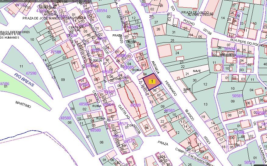 WhatsApp Image 2026 02 09 at 19.29.33