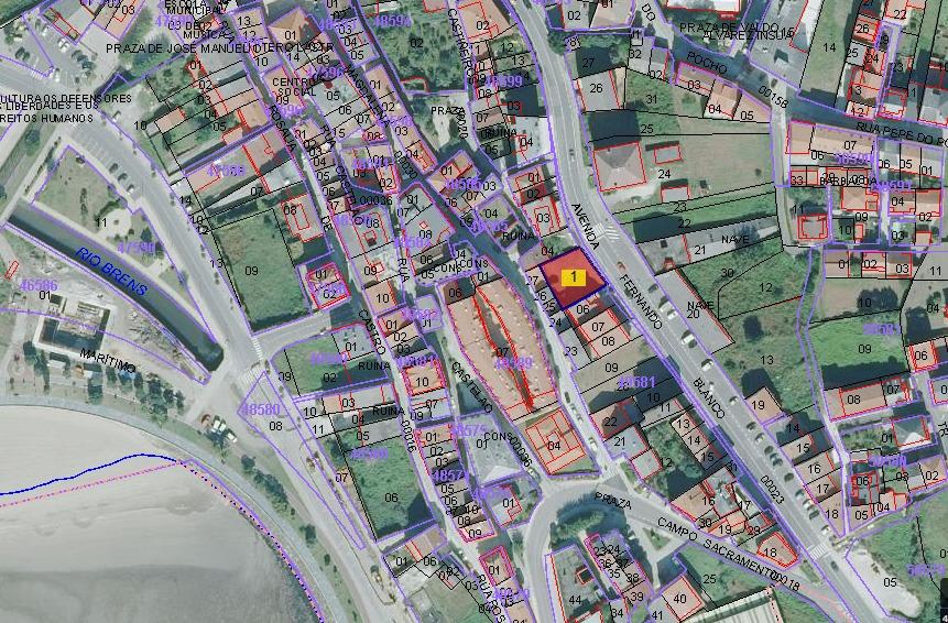 WhatsApp Image 2026 02 09 at 19.30.40