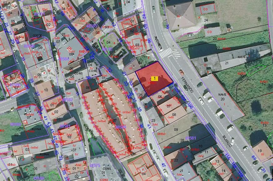 WhatsApp Image 2026 02 09 at 19.31.07