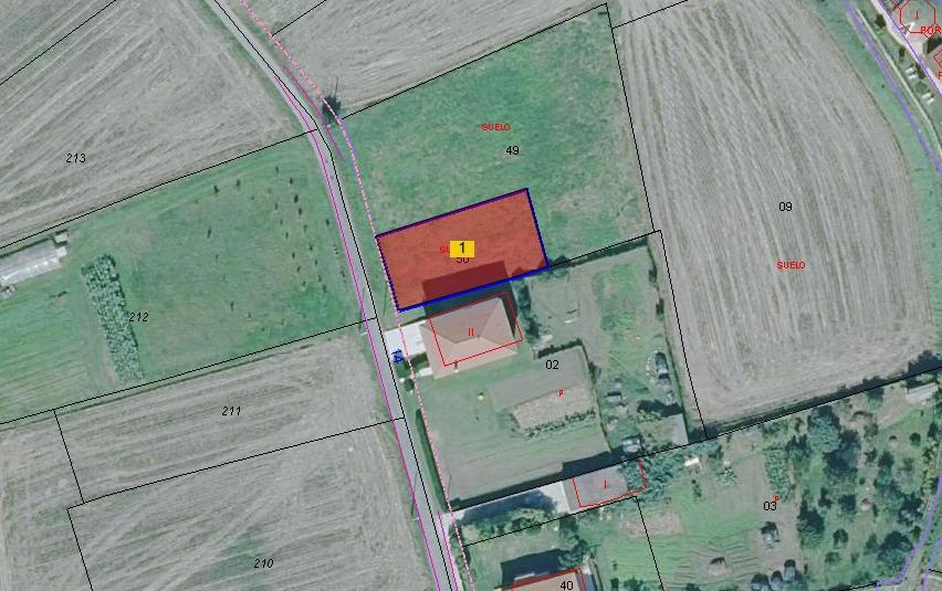 WhatsApp Image 2026 03 25 at 11.11.41