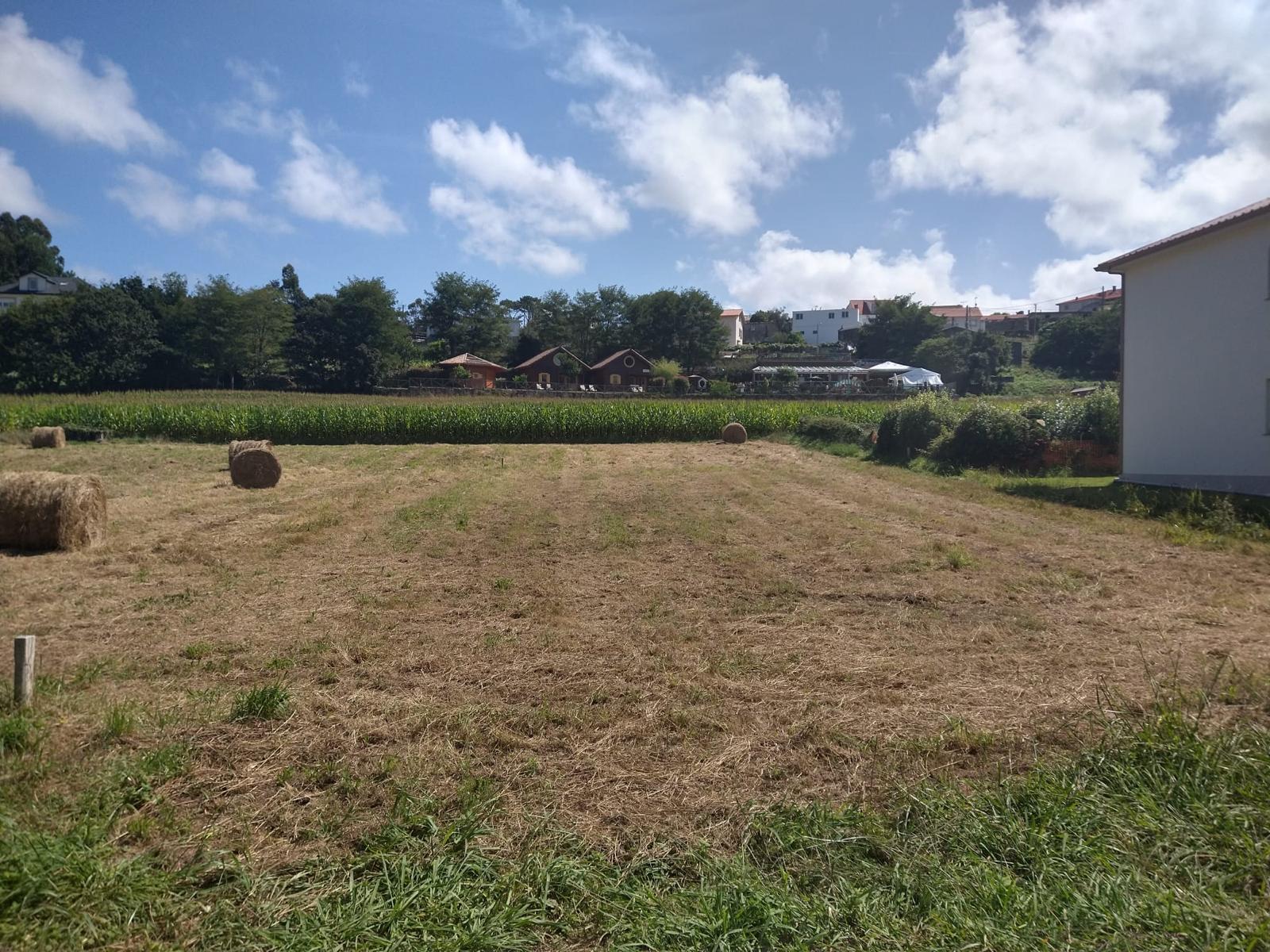 WhatsApp Image 2026 03 25 at 18.06.31