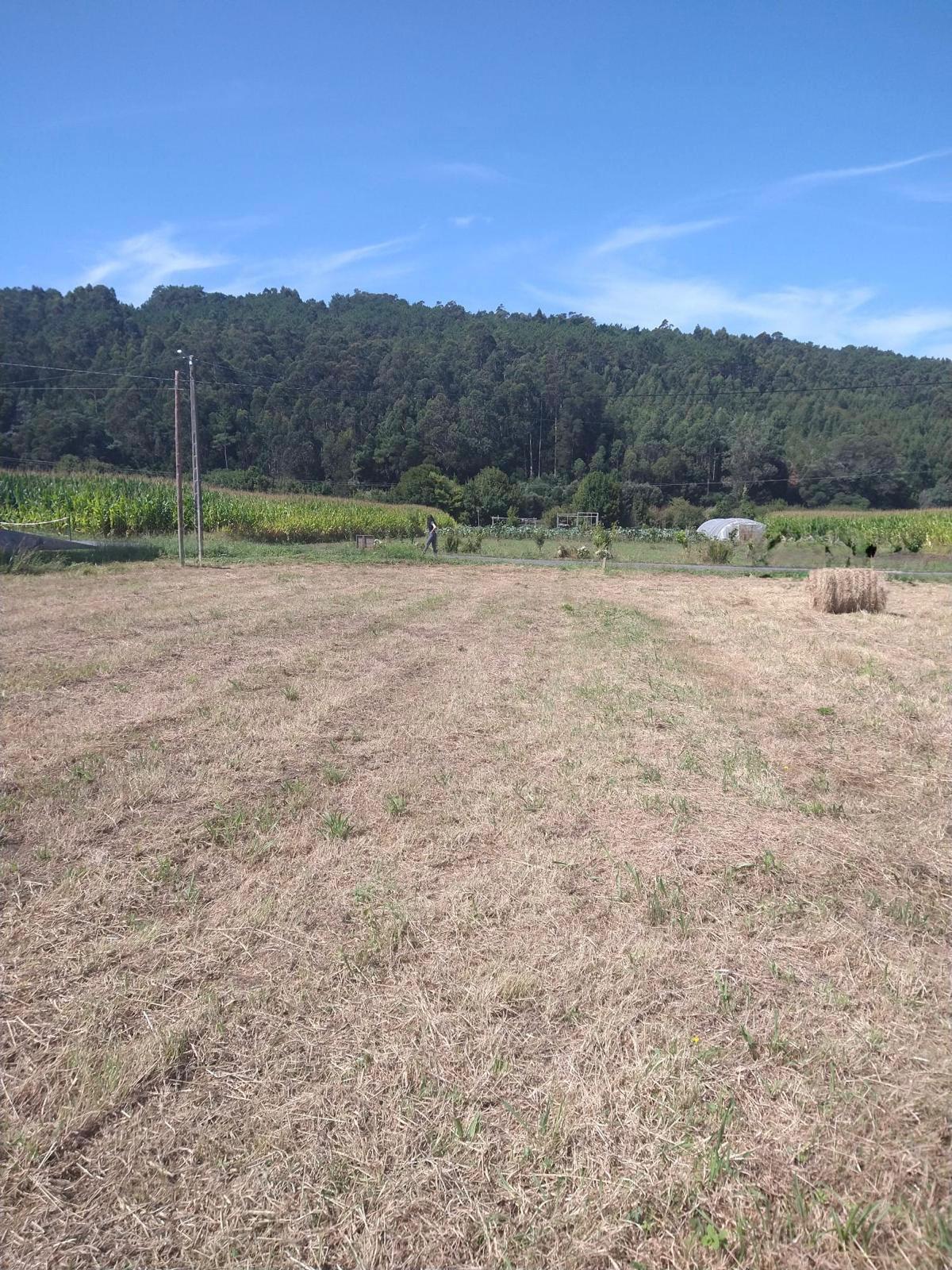 WhatsApp Image 2026 03 25 at 18.12.04