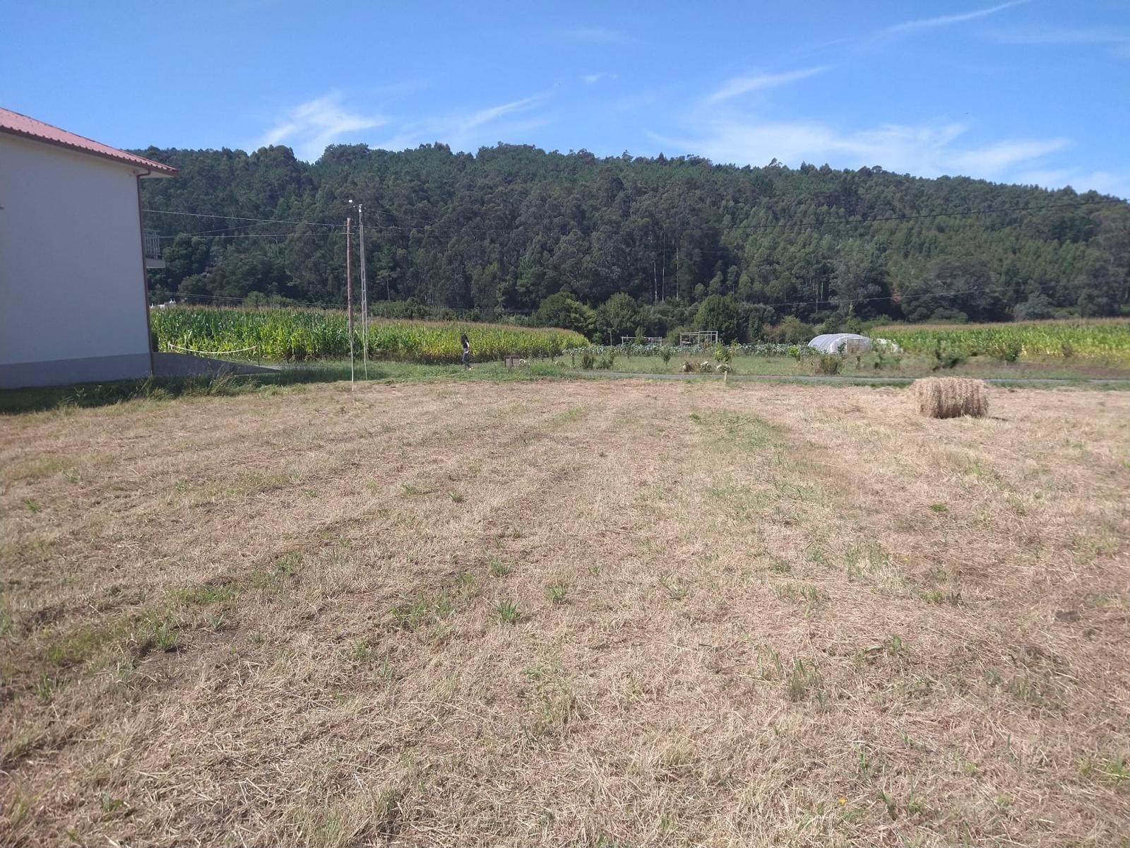 WhatsApp Image 2026 03 25 at 18.12.45