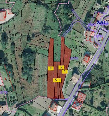 WhatsApp Image 2026 04 28 at 17.29.15