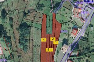 WhatsApp Image 2026 04 28 at 17.29.15